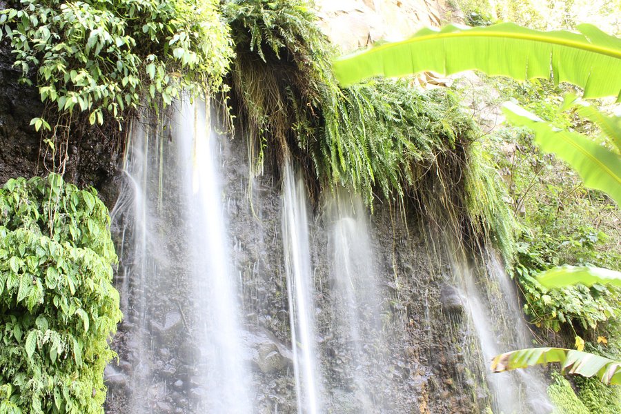 Balisbisan Falls image