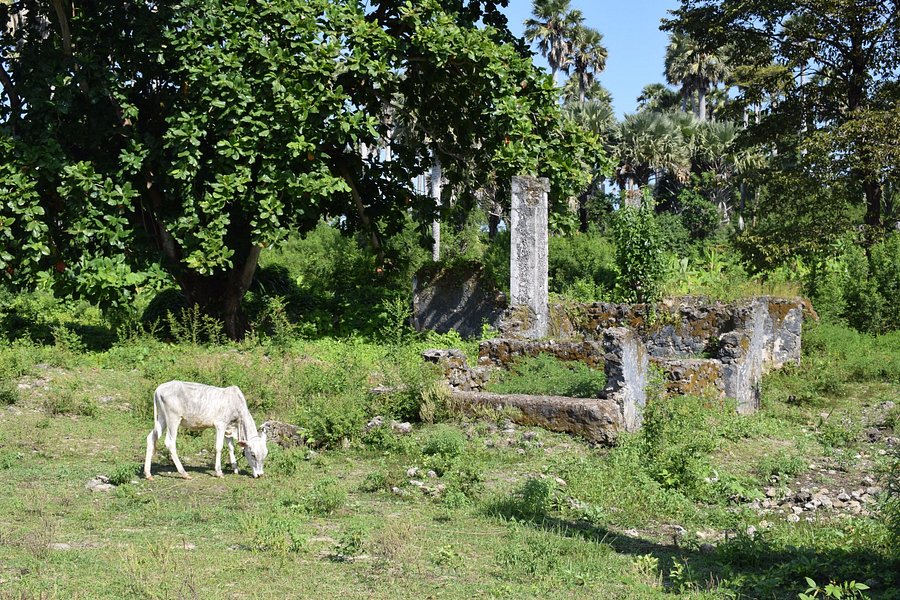 Ndagoni Ruins at Ras Mkumbuu image