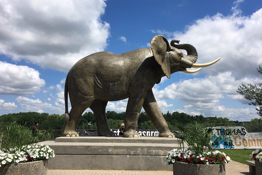 Jumbo The Elephant Monument image