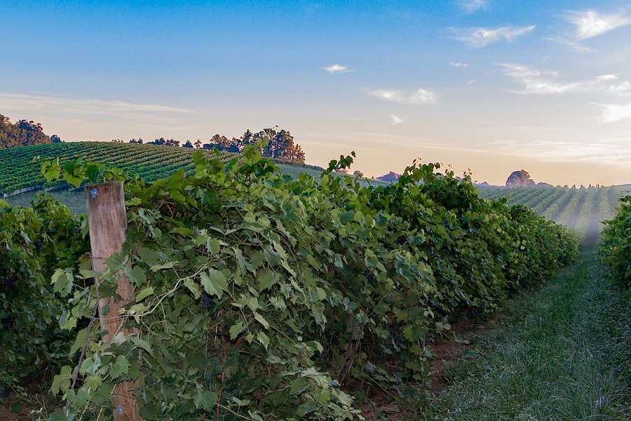 Linganore Winecellars image
