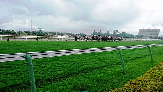 Hakodate Horse Racetrack image