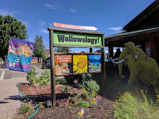 Wallowology Natural History Discovery Center image
