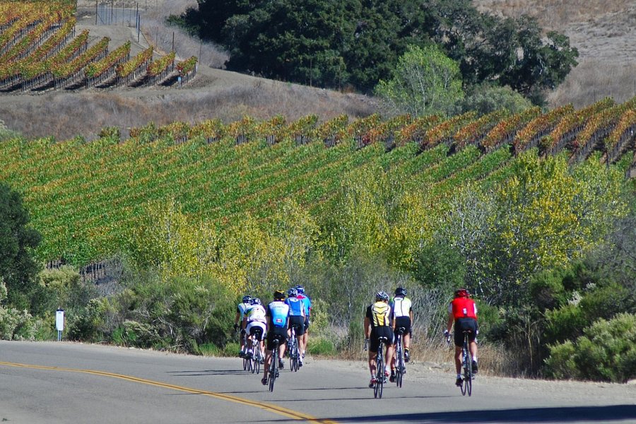 Santa Barbara Wine Country Cycling Tours image