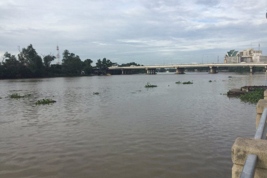 Bang Pakong River image