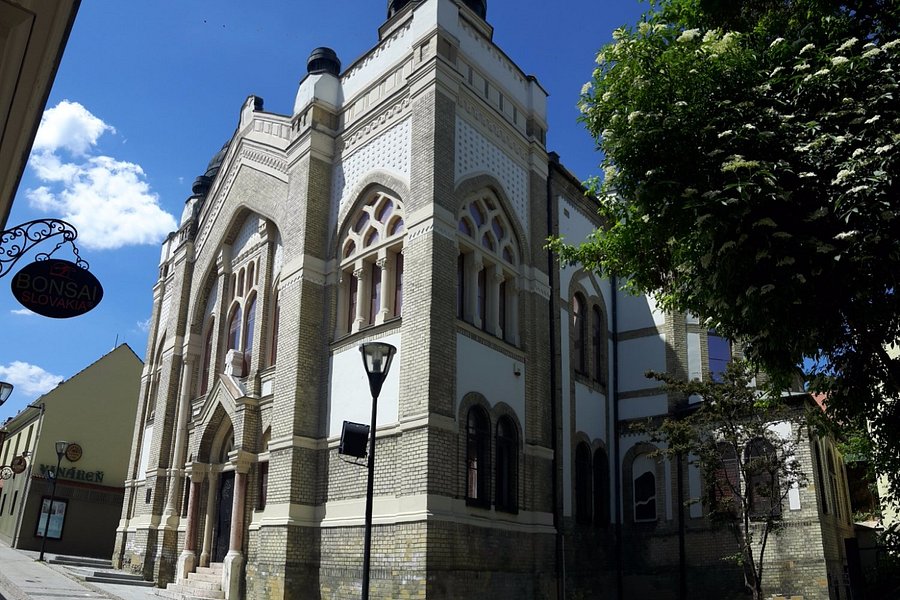 Synagoga image