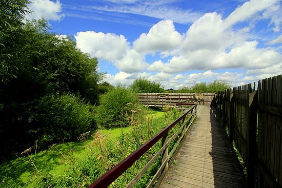 RSPB Rye Meads Nature Reserve image