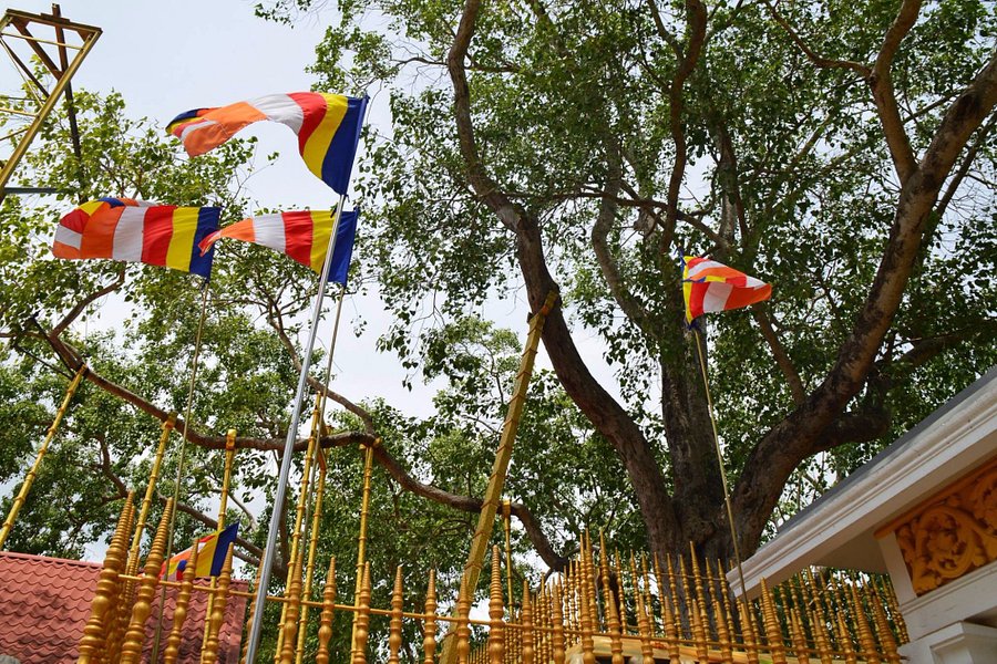 Sri Maha Boodhi Temple image