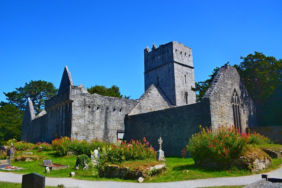 Muckross Abbey image