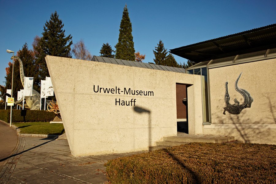 Urwelt Museum Hauff image