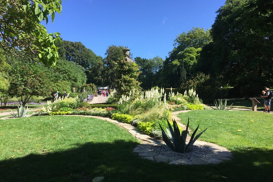 Botaniska Tradgarden image