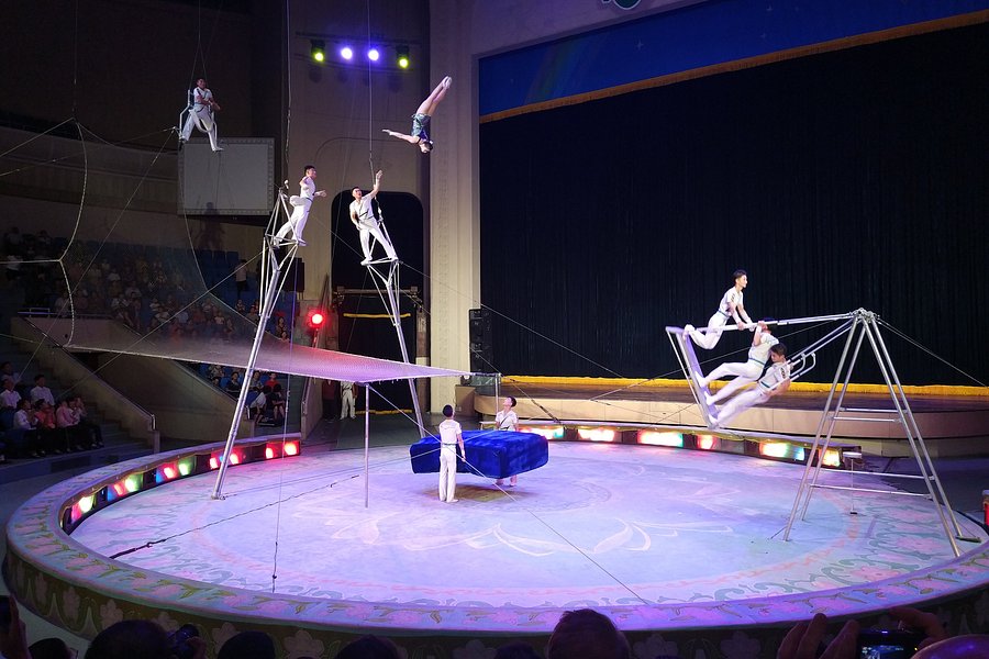 The State Circus image