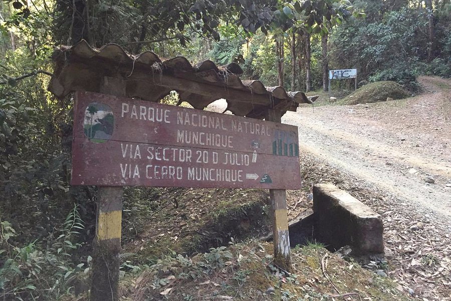 Parque Nacional Natural Munchique image