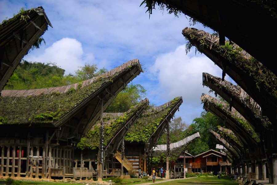 Toraja Village image