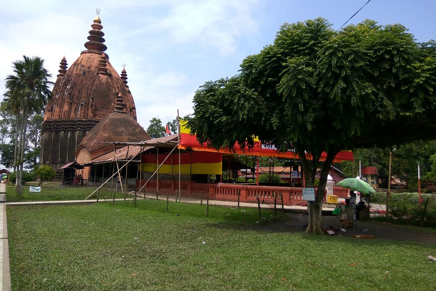 Rudrasagar Tank and Temple image
