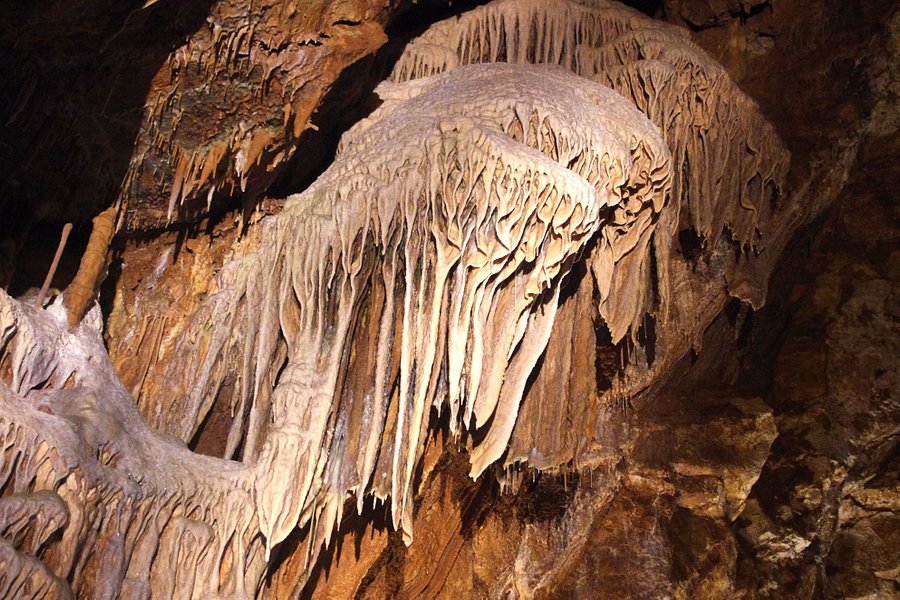Grottes de Lacave image