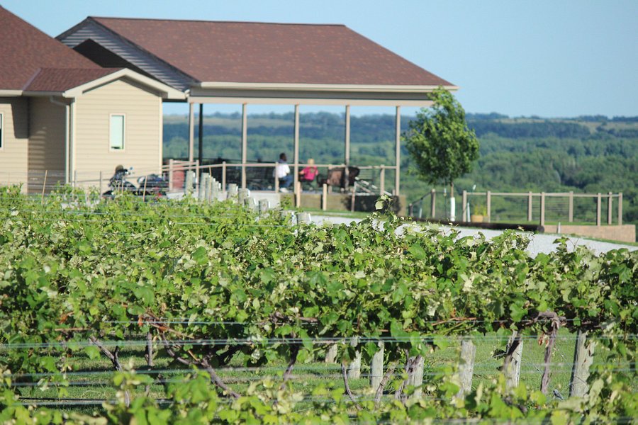 Miletta Vista Winery image
