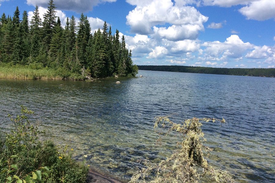 Blue Lake Provincial Park image