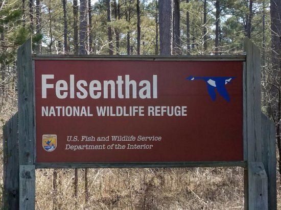 Felsenthal Nation Wildlife Refuge Visitor Center image