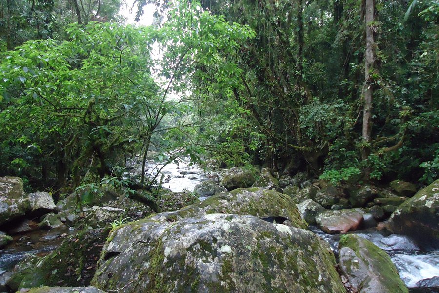 Parque Estadual do Pau Oco image