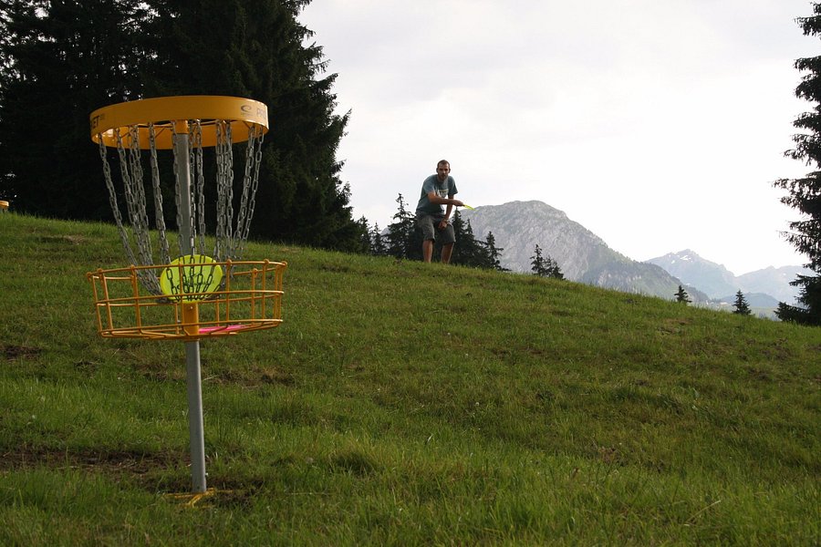 Disc Golf Pays-d'Enhaut image