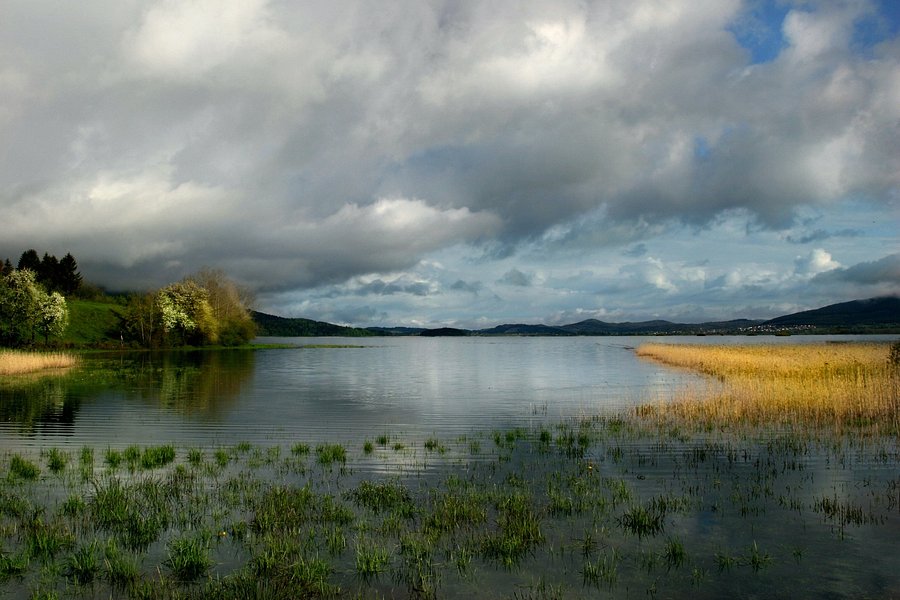 Cerknica Lake image