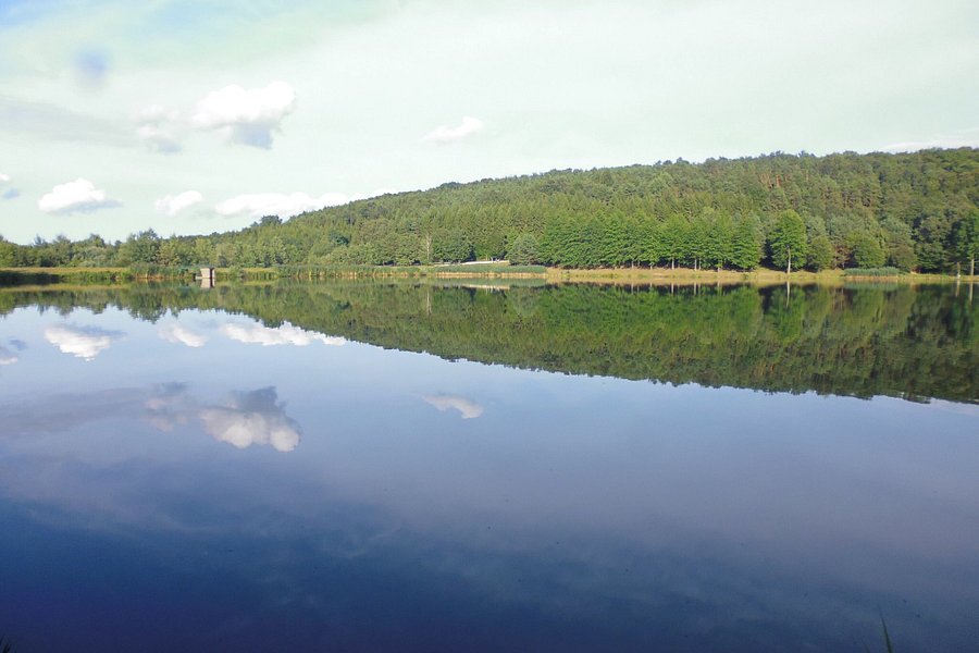 Lake Hársas image