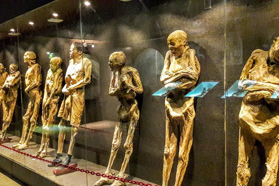 Museo de las Momias de Guanajuato image