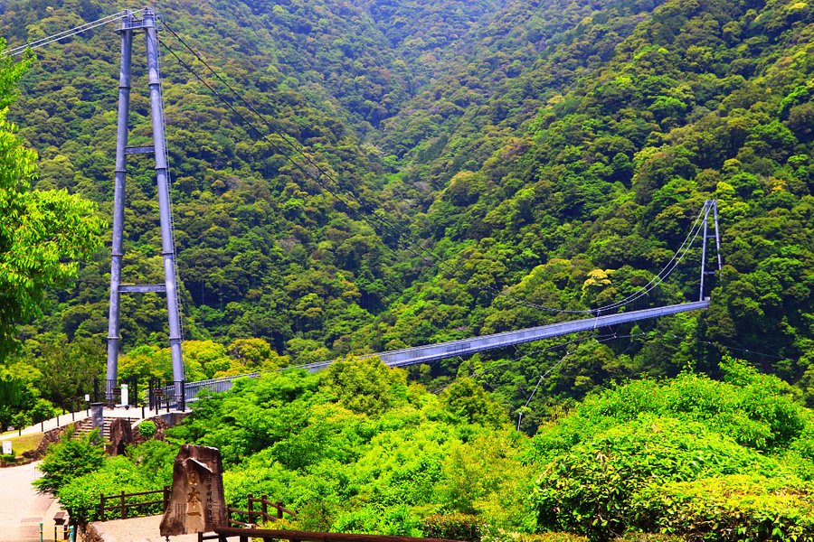 Aya Suspension Bridge image
