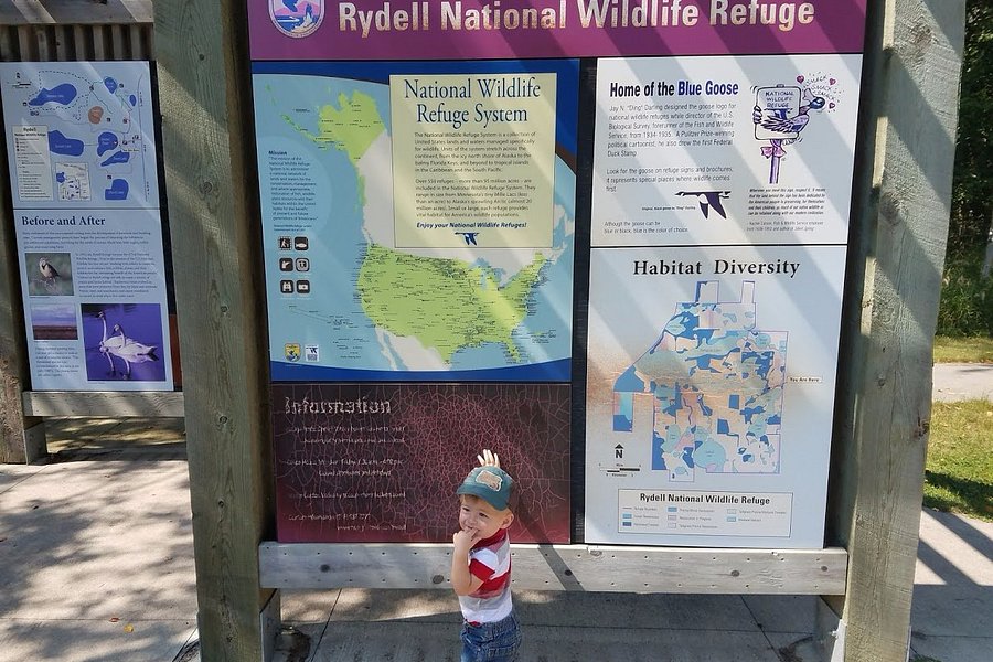 Rydell National Wildlife Refuge image