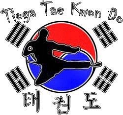 Tioga Tae Kwon Do image