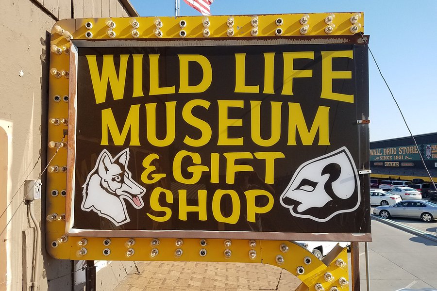 Wildlife Museum & Gift Shop image