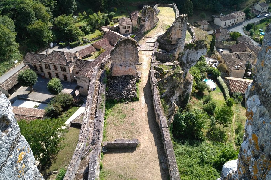 Chateau de Gavaudun image