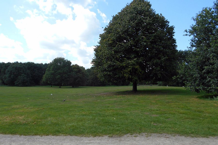 Schelfhorstpark image