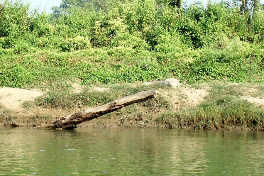 Narayani River image