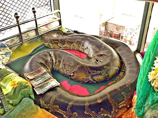 Snake Pagoda image