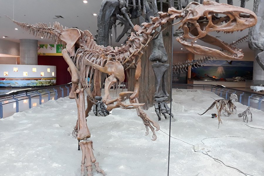 Gyeryongsan Natural History Museum image