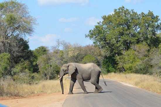 Pabeni Gate Kruger National Park image