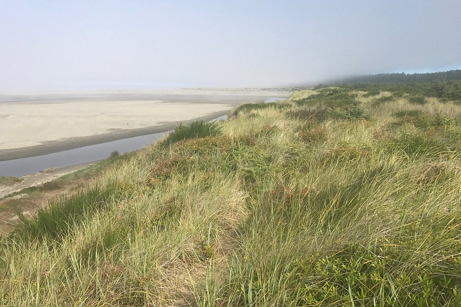 Griffiths-Priday Ocean State Park image