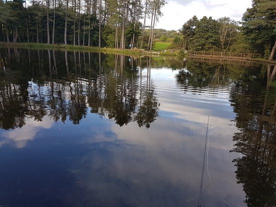 Lawfield Trout Fishery image