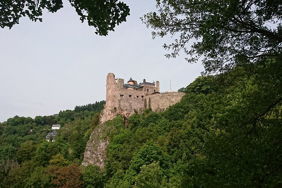 Schloss Oberstein image