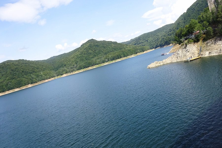 Vidraru Dam image
