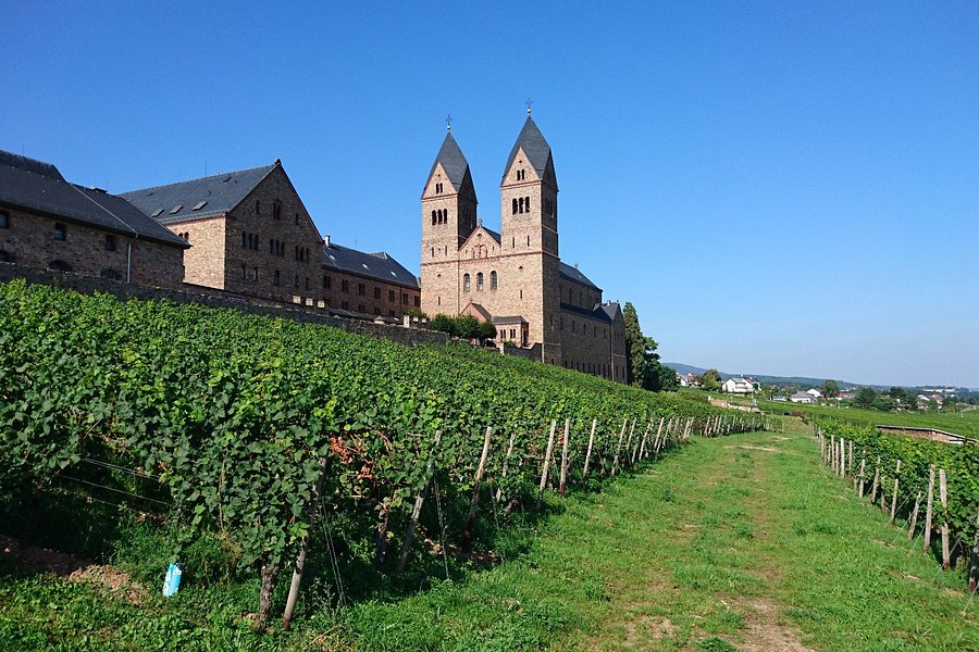 Benedictine Abbey of St. Hildegard image
