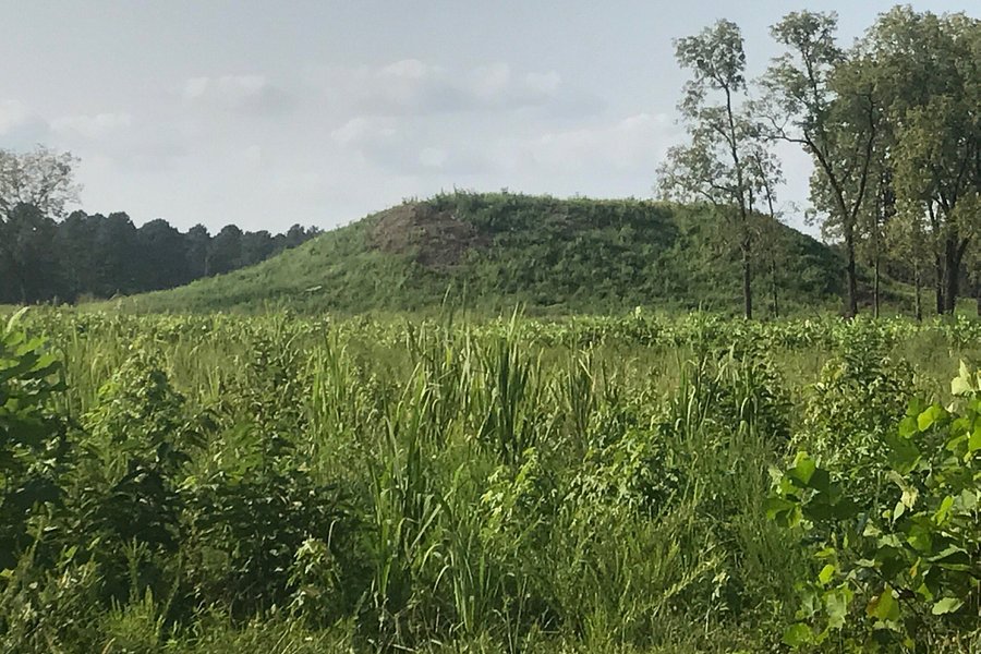 Pinson Mounds State Park image