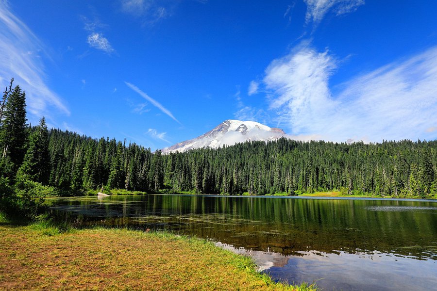 Mount Rainier National Park image