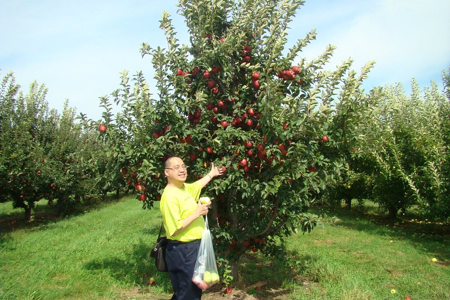 Garwood Orchards image