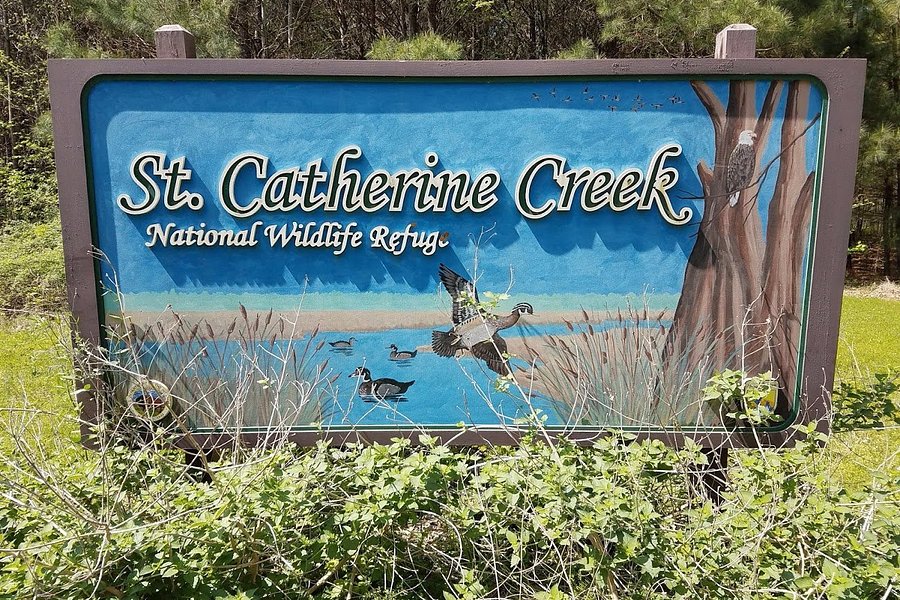 St. Catherine Creek National Wildlife Refuge image