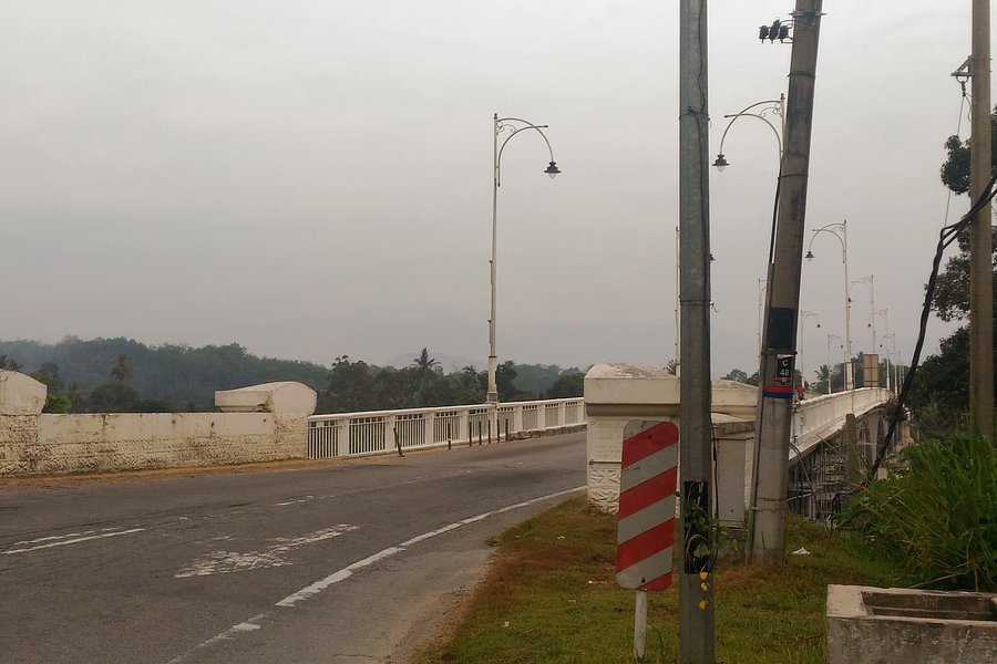 Sultan Iskandar Bridge image