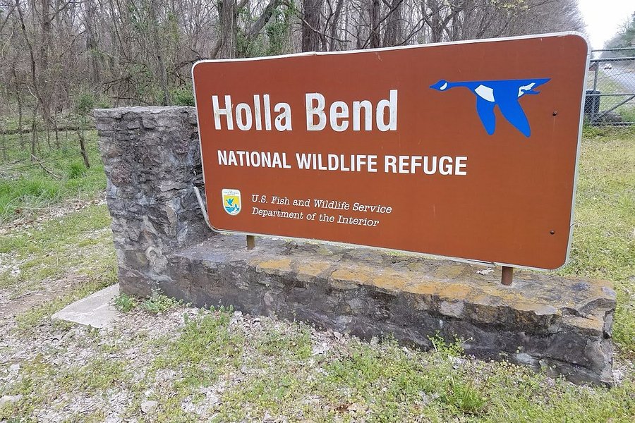 Holla Bend National Wildlife Refuge image