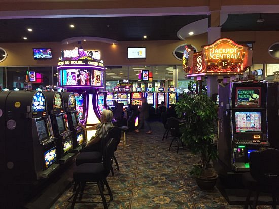 Treasure Cove Casino and Bingo image