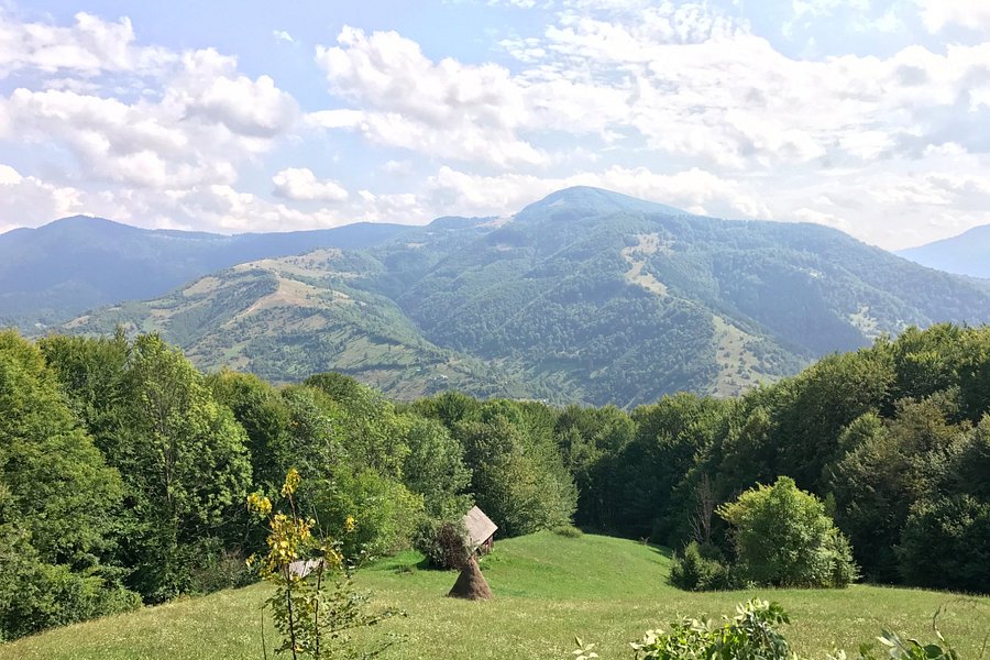Carpathian Biosphere Reserve image